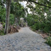 Bán Mảnh Đất Vị Trí Vàng Tại Vịnh Vĩnh Hy, Ninh Hải, Ninh Thuận - Giá Chỉ 1. 8 Triệu/M2