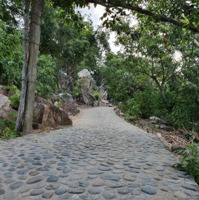 Bán Mảnh Đất Vị Trí Vàng Tại Vịnh Vĩnh Hy, Ninh Hải, Ninh Thuận - Giá Chỉ 1. 8 Triệu/M2