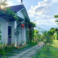 Bán Biệt Thự Nhà Vườn Hoà Ninh, 3146M2 Có 400M2 Đất Ở