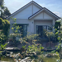 Bán Biệt Thự Nhà Vườn Hoà Ninh, 3146M2 Có 400M2 Đất Ở