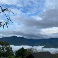 Bán Đất View Săn Mây Cực Đỉnh Tại Mỏm Lạc Đà Tà Xùa, Sơn La
