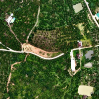 Đất Thổ Cư Bảo Lộcdiện Tích160M2 Giá Bán 429,000,000Đdiện Tích250M2 Giá Bán 579,000,000Đ Liên Hệ: 0917137162