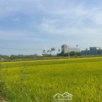 Bán Gấp Đất View Lúa Tại Phường Điện Phương, Gần Hội An, Quảng Nam, 1,75 Tỷ, 170 M2