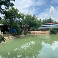 Trang Trại 2Ha Cạnh Củ Chi, Quy Hoạch Khu Dân Cư, Thị Xã Trảng Bàng.
