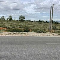 Đất Hnk Cho Chuyển Thương Mại Dịch Vụ.diện Tích5 Mẫu 1 (51000M2)Thích Hợp Đầu Tư Phát Triển Nhiều Dự Án