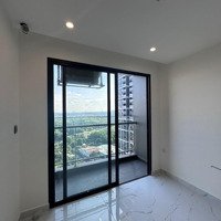 Cháy Hàng: Studio Beverly Solari - Đặc Quyền Sống Sang Không Cần Giá Sang