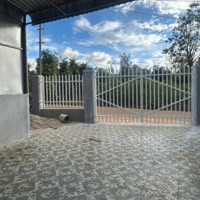 Bán Đất Tặng Nhà Giá Rẻ Phù Hợp Cho Gia Đình Tài Chính Thấp Tại Xã Hiệp Thạnh, Chỉ 1.3 Tỷ