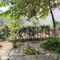 Dv Yên Nghĩa Khu B - Cạnh Bến Xe - Gần Chung Cư - Phân Lô Vỉa Hè 50M2 -Mặt Tiền5M