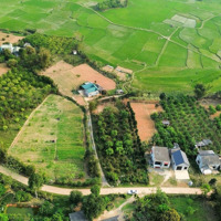 Bán Đất Tại Thị Trấn Mãn Đức - Tân Lạc - Hòa Bình
