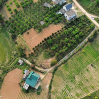 Bán Đất Tại Thị Trấn Mãn Đức - Tân Lạc - Hòa Bình