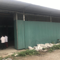 Cho Thuê Kho, Nhà Xưởng 800M2 Tại Xã Mai Lâm, Đông Anh, Hà Nội, Giá Ưu Đãi 65 Nghìn / M2
