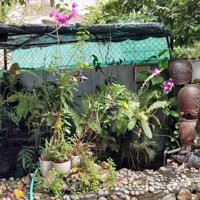 Bán Nhà Riêng Tại Nguyễn Đức Thuận, Vĩnh Hòa, Giá: 2,45 Tỷ, 176 M2, Đẹp, Nhiều Tiện Ích Uy Tín.