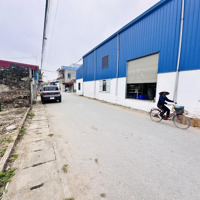 Đất Mặt Đường Nhựa Ngũ Đoan - Kiến Thụy Không Lỗi Tâm Linh Hơn 300M2 Giá Chỉ 1Tỷ6Xx. Lh Em Ngay Nhe