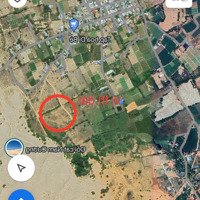 Bán Đất Tại An Hải, Ninh Phước, Ninh Thuận, Giá 400 Nghìn / M2, Diện Tích 2000 M2 Hàng Hot