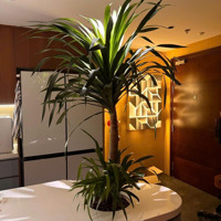 Chính Chủ Gửi Bán Căn Hộ 2 Phòng Ngủ- 2 Vệ Sinh- 87.4M2 - Tòa Nhà 6Th Element - Hotline: 0934678995