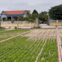 Bán Đất Tại Quất Lâm, 1 Tỷ, 90M2, Mặt Tiền 4.5M, Giá Ưu Đãi Hot!