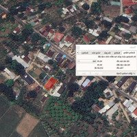 Ccr - Đất Quy Hoạch An Toàn Tại Cam Lâm Giá Siêu Rẻ Để Đầu Tư Chỉ 3.9 Triệu/M2
