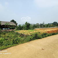 1986M2 Có 200M2 Thổ Cư Mặt Tiền 50M Xung Quanh Nhiều Biệt Thự Nhà Vườn Giá Đầu Tư