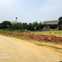 1986M2 Có 200M2 Thổ Cư Mặt Tiền 50M Xung Quanh Nhiều Biệt Thự Nhà Vườn Giá Đầu Tư