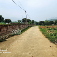 1986M2 Có 200M2 Thổ Cư Mặt Tiền 50M Xung Quanh Nhiều Biệt Thự Nhà Vườn Giá Đầu Tư