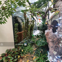 Rẻ Nhất Thị Trường ! Liền Kề Xẻ Khe 3 Thoáng, Sân Vườn - Vinhomes Ocean Park 3 Giá Chỉ 10 Tỷ Nhỉnh
