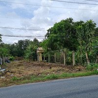 Vip Bán Đất Mặt Tiền Đường Thanh Niên, 500M2, Giá Bán 9.8 Tỷ