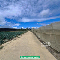 Siêu Hot #Bánđấtđơndương 5 X 25M Đất 2 Mặt Tiền Nguyễn Chí Thanh - Sổ Sẵn, Công Chứng Ngay