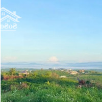 Bán Đất Ở Gần Dốc Hitle Xã Lộc Ngãi, Huyện Bảo Lâm, Lâm Đồng