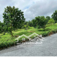 Đất Đẹp Bằng Phẳng Mặt Tiền Rộng View Thông Sau Lưng Tại Lộc Ngãi