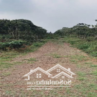 Đất Vườn Thôn 9 Lộc Ngãi | 2Ha Đất Triền Nhẹ Có Ao Giá Siêu Tốt