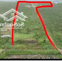 Đất Vườn Thôn 9 Lộc Ngãi | 2Ha Đất Triền Nhẹ Có Ao Giá Siêu Tốt