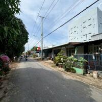 Nhượng Nhà Yến đang thu hoạch tại Mỹ Hòa Hưng, Long Xuyên AG