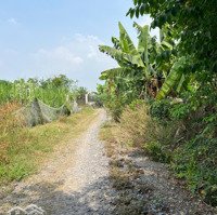 Lô Đất 2 Sẹc Hồ Văn Tắng, Diện Tích 142,5M2 Full Thổ ,Xã Tân Phú Trung.