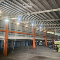 Cho Thuê Xưởng 10.000M Trong Kcn Nhơn Trạch Đồng Nai
