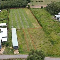 4.500 M2 Đất Hnk Phù Hợp Tc Mặt Tiền Đường Nhựa Thông Chỉ 2 Tỷ 6
