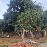 10 Điểm Dành Riêng Cho Anh Chị Đầu Tư Hoặc Nghỉ Dưỡng Sát Đường Hcm Tại Phú Cát Quốc Oai Hà Nội