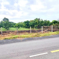 Bán Đất Duyên Hải, Cần Giờ Giá Bán 47,5 Tỷ, Diện Tích 1764M2 Có 693M2 Thổ 20X88