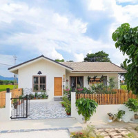 Đất 90M2, Xây Tự Do, Khu Dân Cư Hiện Hữu, Tặng Gpxd, Giá Bán 2 Tỷ 550