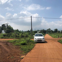 Cắt Lỗ Lô Pleiku Đi Bộ Ra Biển Hồdiện Tích251M2 Thổ Cư 50M. Hẻm Thông 6M Nhựa Gần Mặt Tiền Chỉ 500 Triệu