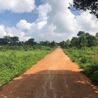 Cắt Lỗ Lô Pleiku Đi Bộ Ra Biển Hồdiện Tích251M2 Thổ Cư 50M. Hẻm Thông 6M Nhựa Gần Mặt Tiền Chỉ 500 Triệu