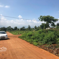 Cắt Lỗ Lô Pleiku Đi Bộ Ra Biển Hồdiện Tích251M2 Thổ Cư 50M. Hẻm Thông 6M Nhựa Gần Mặt Tiền Chỉ 500 Triệu