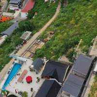 Bán Đất Tại Thị Trấn Tam Đảo, Giá Thỏa Thuận, 850M2, View Đẹp, Liên Hệ: 0985893282