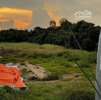 Cho Thuê Bất Động Sản Đất Trống 14 Triệu, Diện Tích 20X25, Ấp Trung, Xã Tân Thạnh