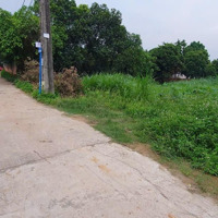 Cc Cần Bán 353M2 Full Thổ Cư Đất Lập Trí Minh Trí. Giáp Khu Công Nghiệp Sạch. Gần Trường Cao Đẳng