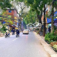 Bán Nhà Mặt Phố Hoàng Hoa Thám, Diện Tích 75M2, Mặt Tiền 5.2M, Giá Chỉ 24,5 Tỷ