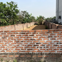 Bán Nhanh Đất Lô Góc, Đường Trục Chính Mai Nội 107M2 - 50 M Ra Đường Vng