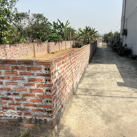 Bán Nhanh Đất Lô Góc, Đường Trục Chính Mai Nội 107M2 - 50 M Ra Đường Vng