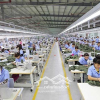 Bán 4Ha Có 2Ha Nhà Xưởng Đang Cho Thuê 1 Tỷ /Tháng . Thời Hạn 2057. Giá Bán 110 Tỷ Gia Lộc