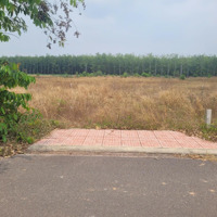 Mặt Tiền Nhựa, 110M2 Có Thổ Cư. Gần Kcn. 5Xxtr