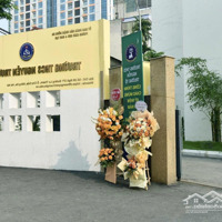 Mặt Phố Phố Cổ Nguyễn Khuyến Kinh Doanh - Đất Văn Hiến Ngàn Năm Diện Tích Phổ Thông - Tiền Nhỏ